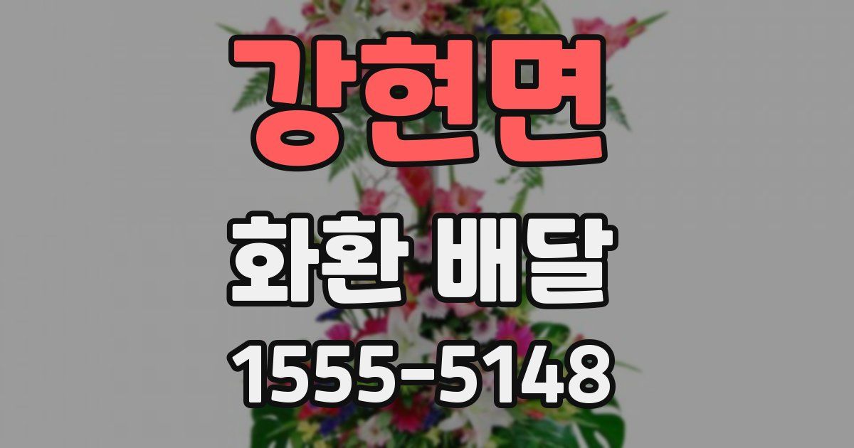 강현면 화환 배달