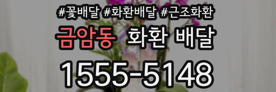 금암동 화환 배달