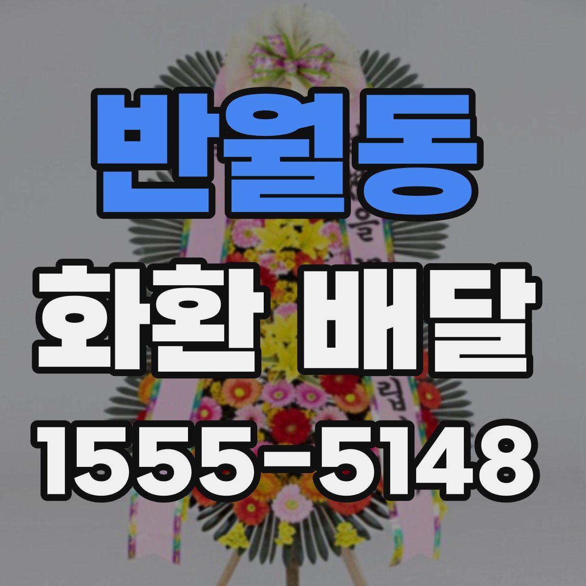 반월동 화환 배달