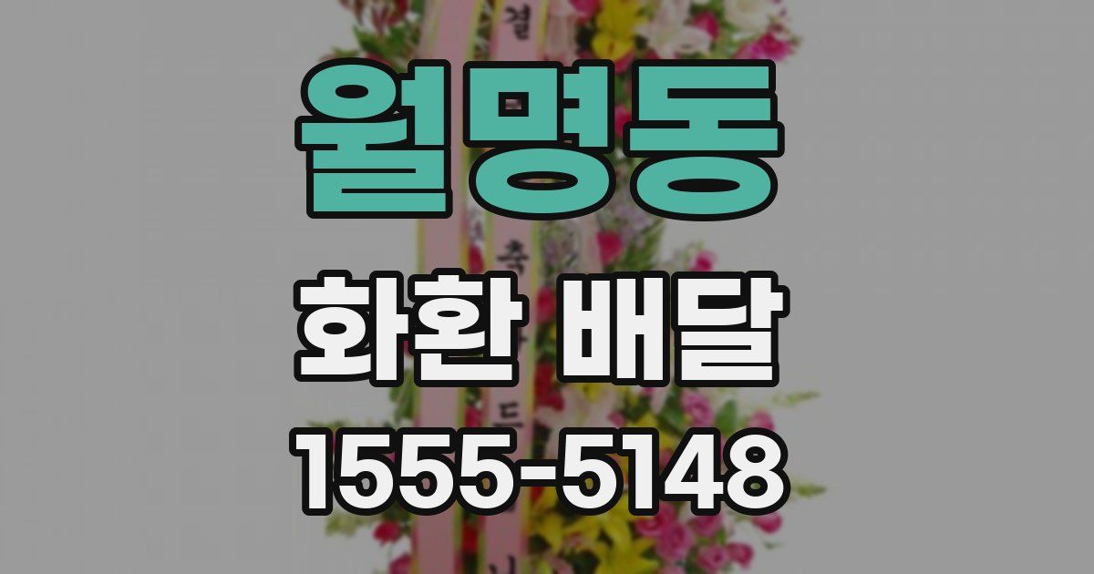 월명동 화환 배달
