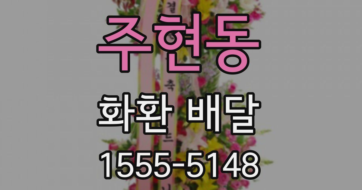주현동 화환 배달