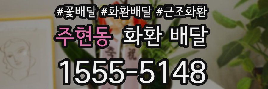주현동 화환 배달