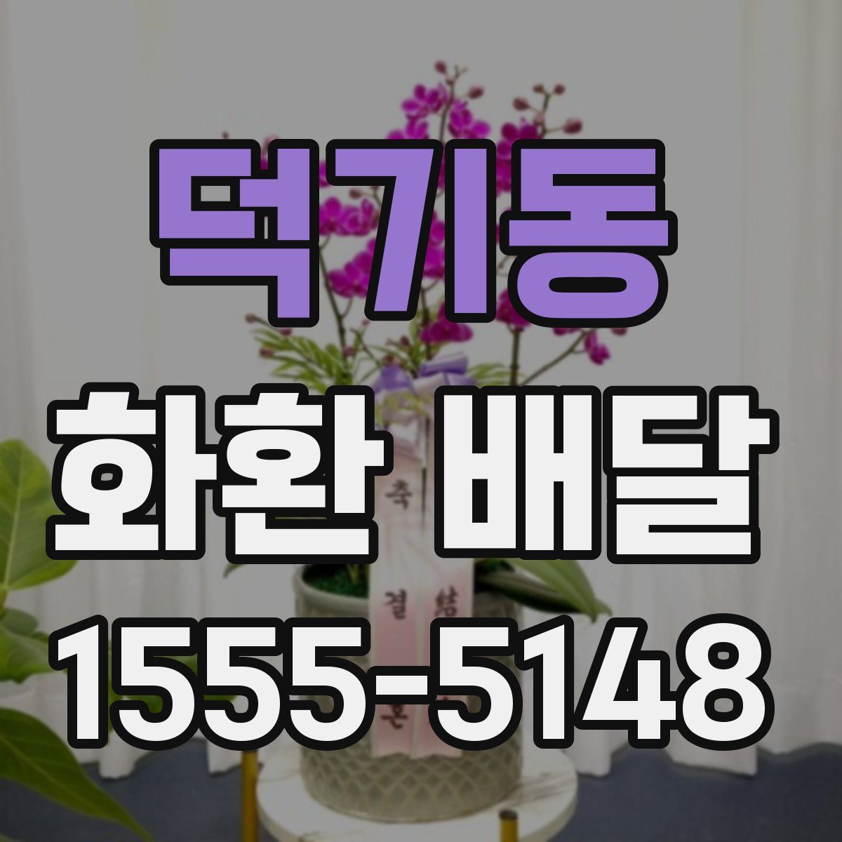 덕기동 화환 배달