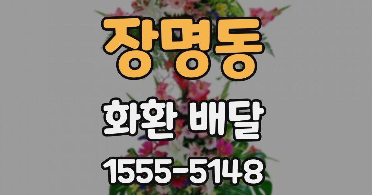 장명동 화환 배달