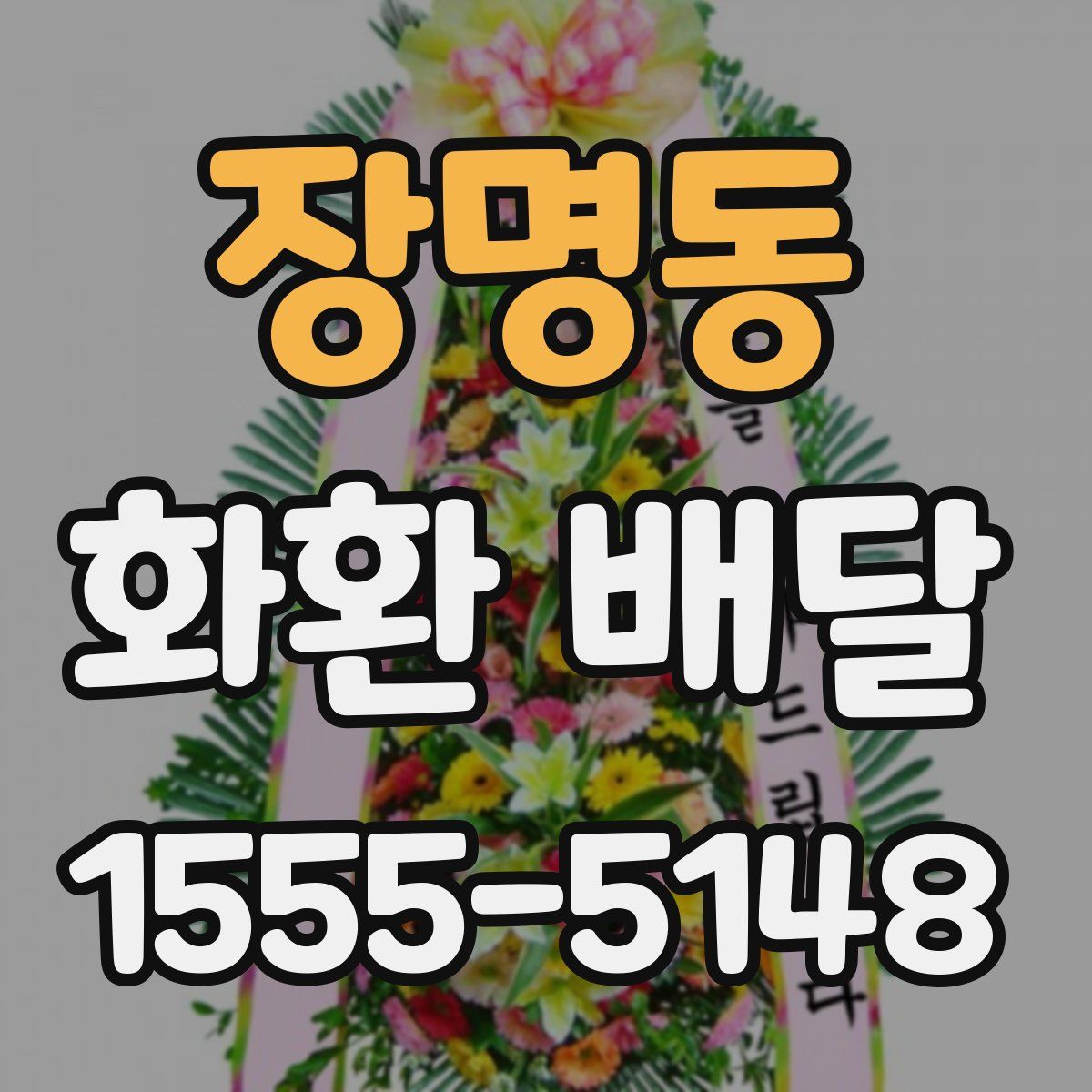 장명동 화환 배달