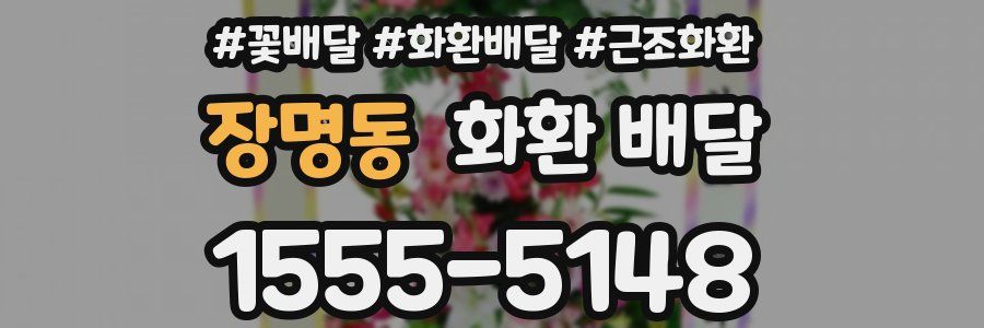 장명동 화환 배달