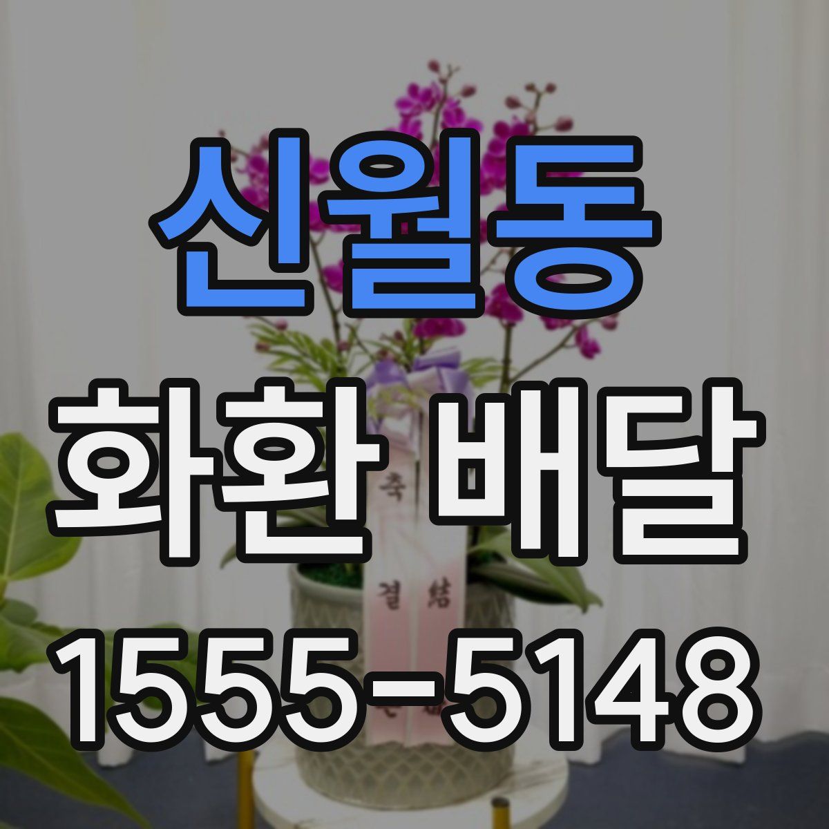 신월동 화환 배달