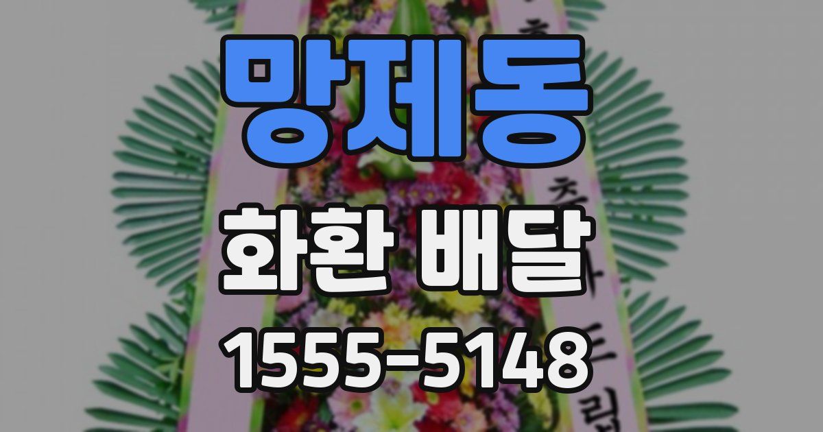 망제동 화환 배달