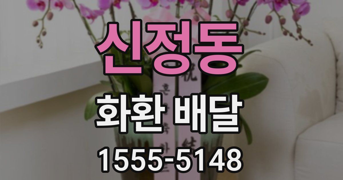 신정동 화환 배달