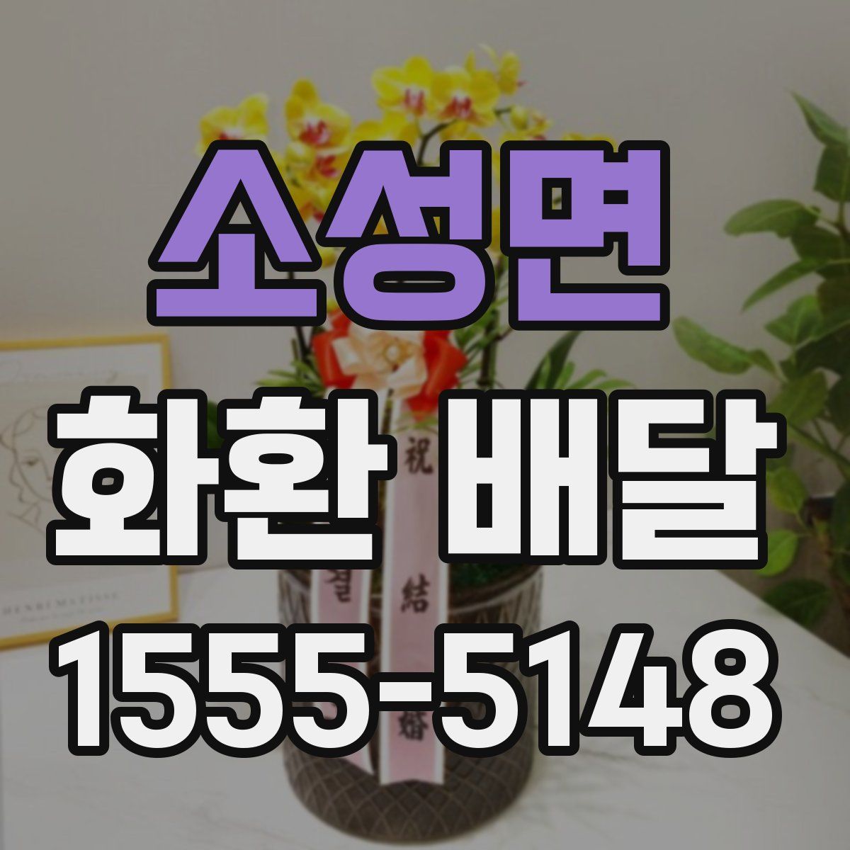소성면 화환 배달