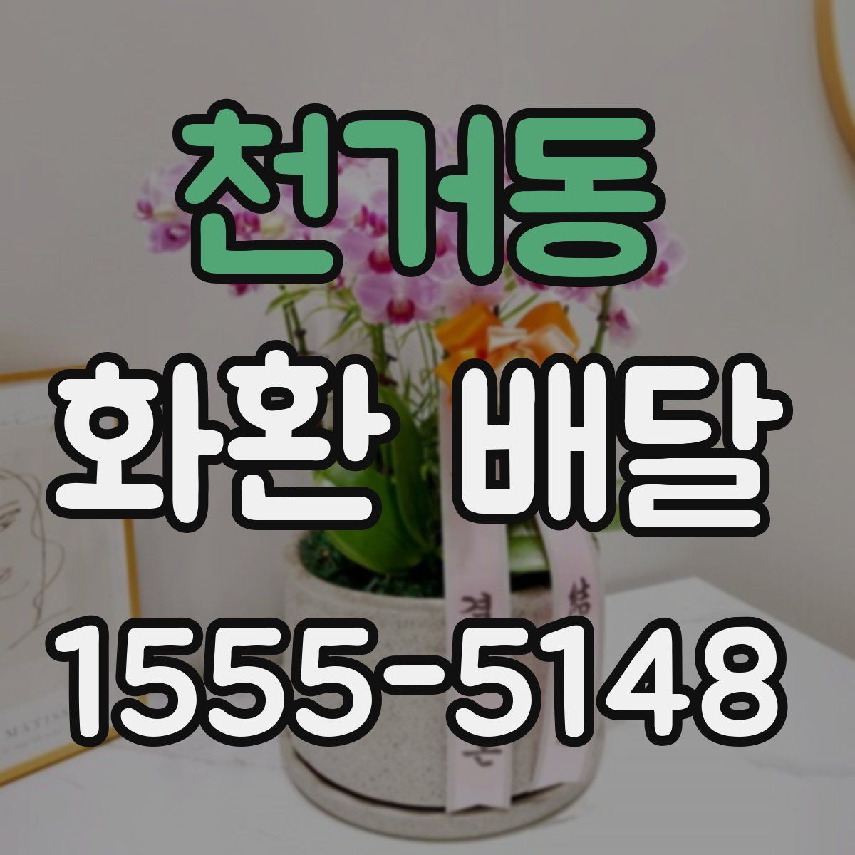 천거동 화환 배달