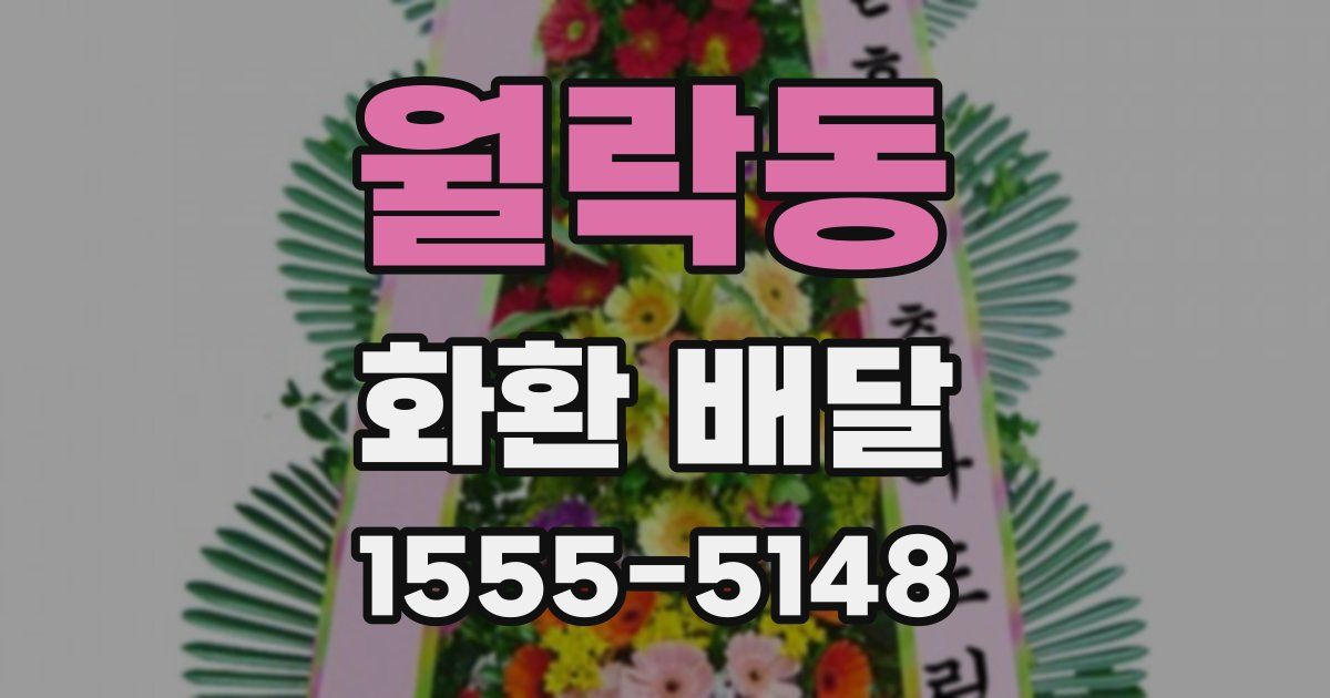 월락동 화환 배달