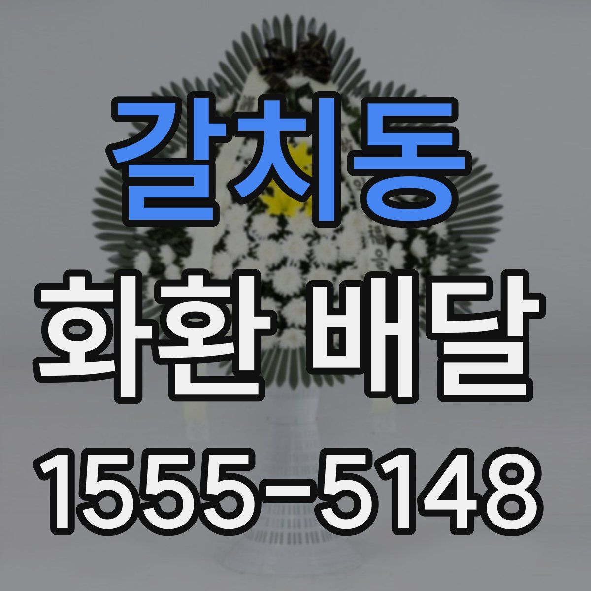 갈치동 화환 배달