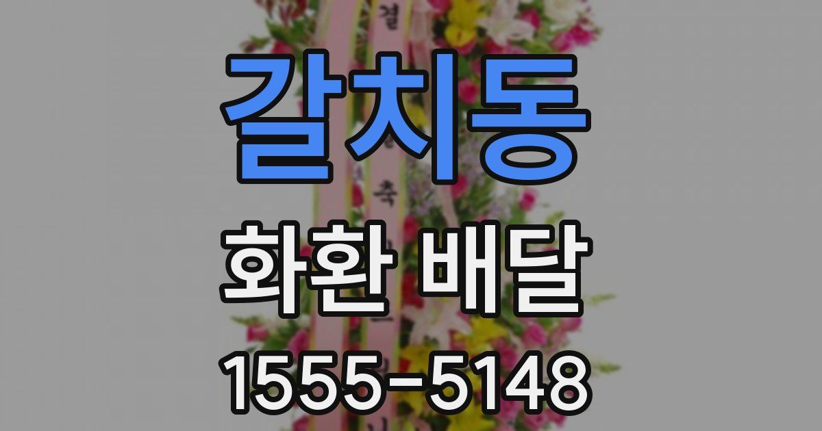 갈치동 화환 배달