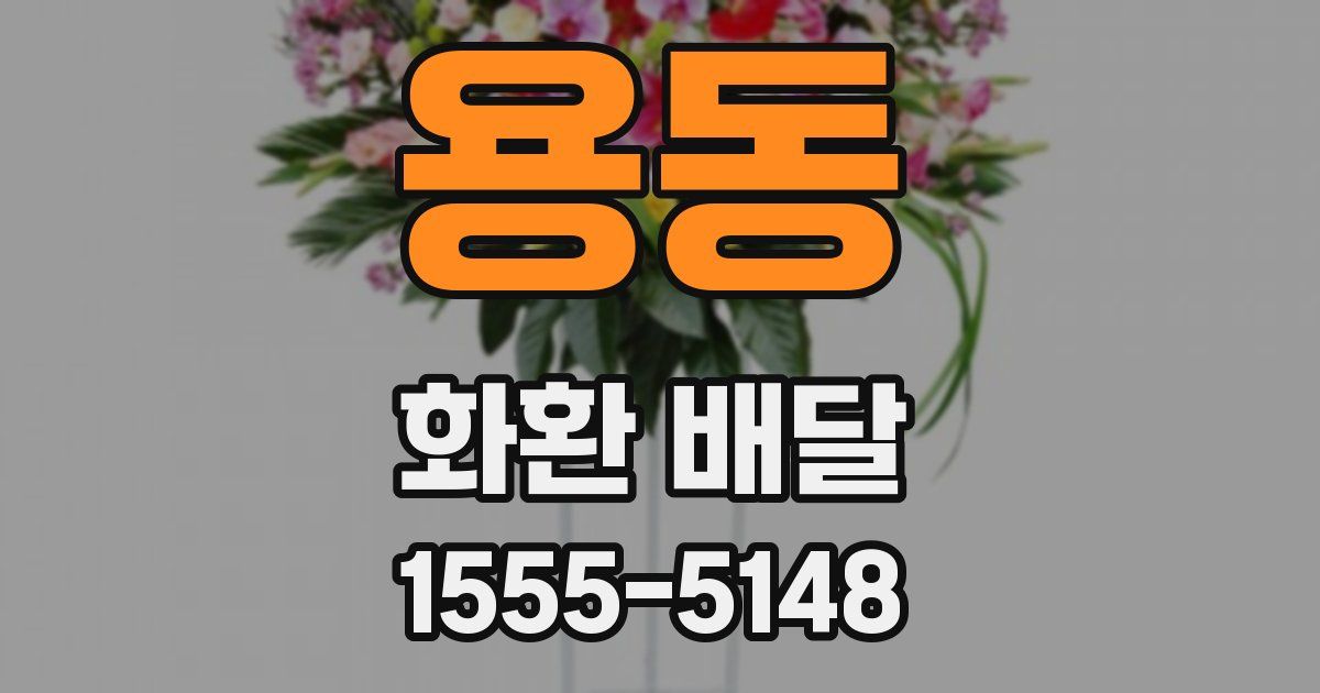 용동 화환 배달