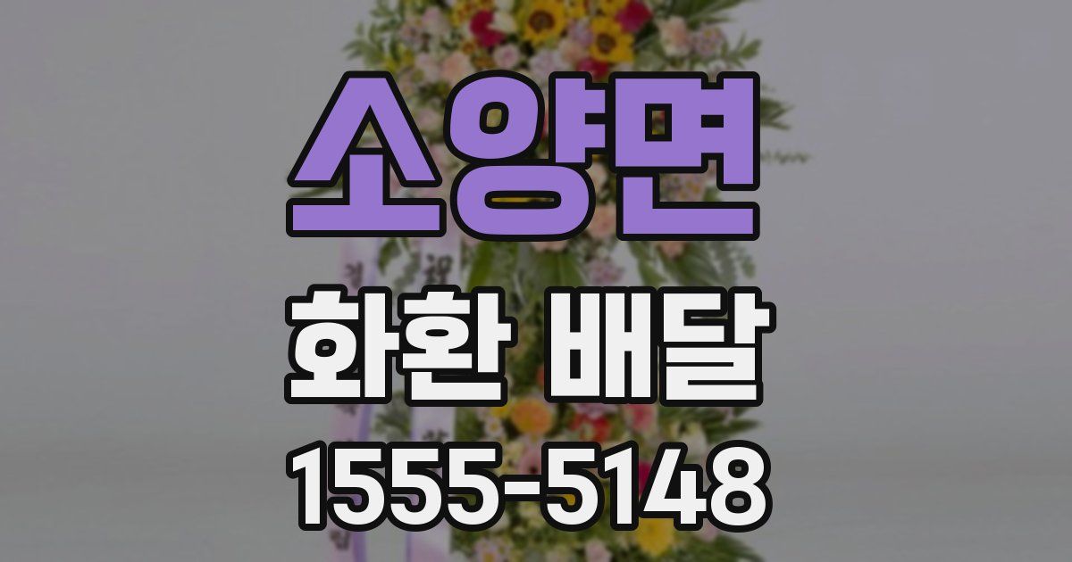 소양면 화환 배달