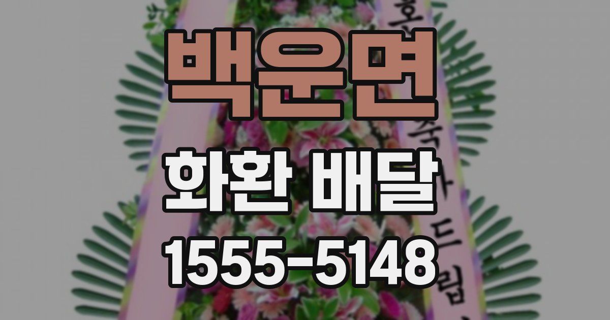 백운면 화환 배달