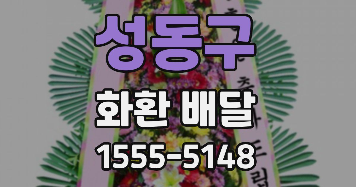 성동구 화환 배달