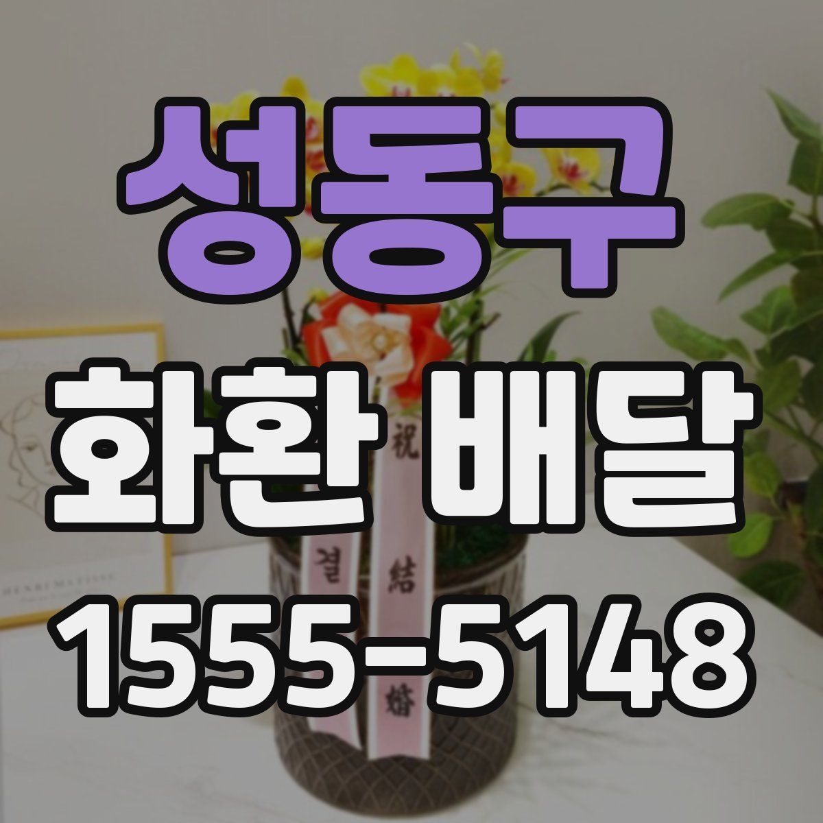 성동구 화환 배달
