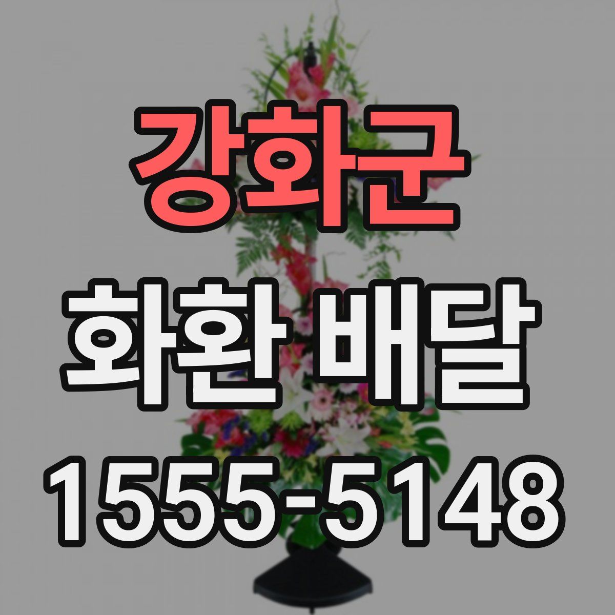 강화군 화환 배달