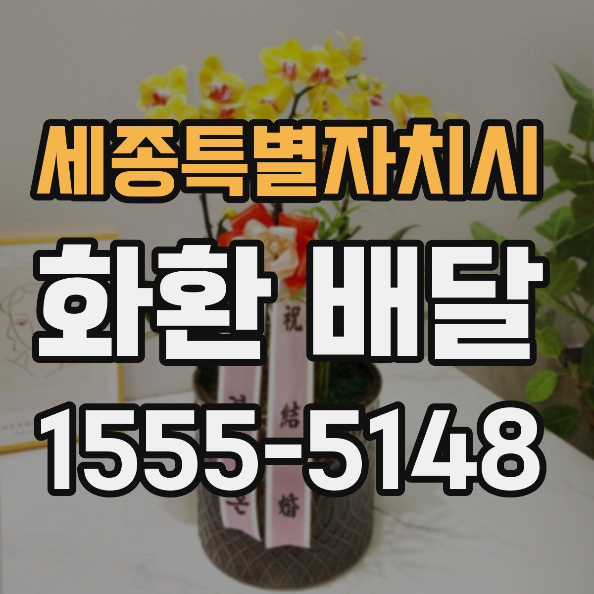 세종특별자치시 화환 배달