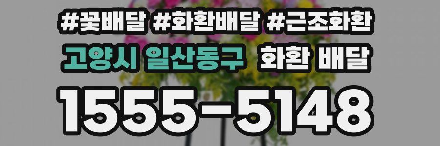 고양시 일산동구 화환 배달