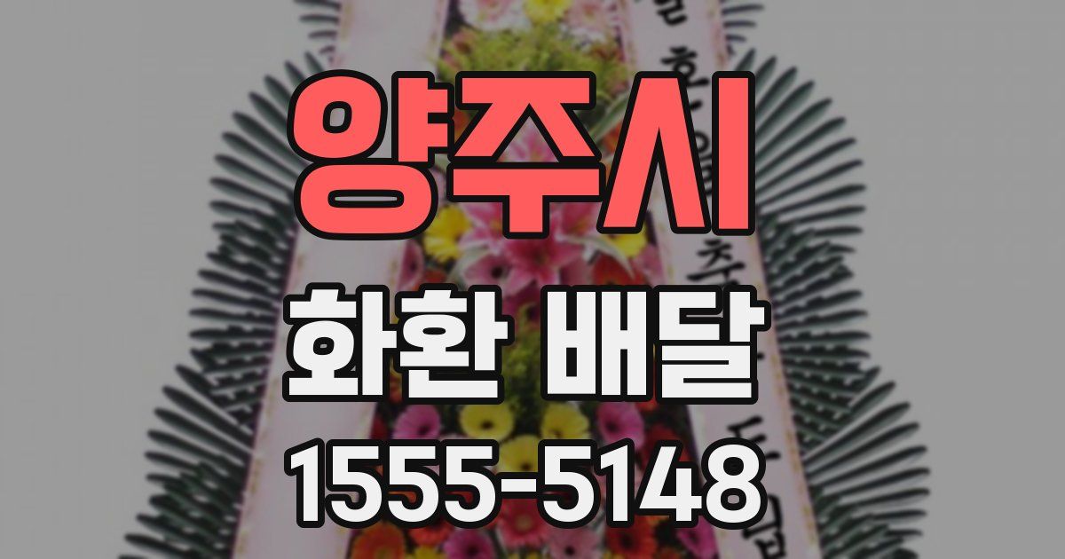 양주시 화환 배달