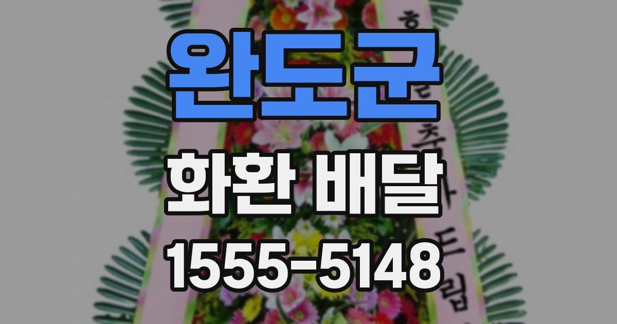 완도군 화환 배달