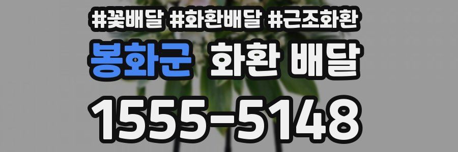 봉화군 화환 배달