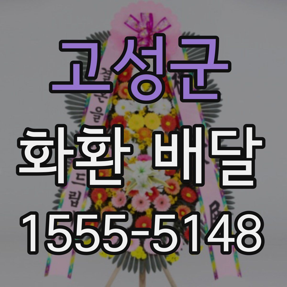 고성군 화환 배달