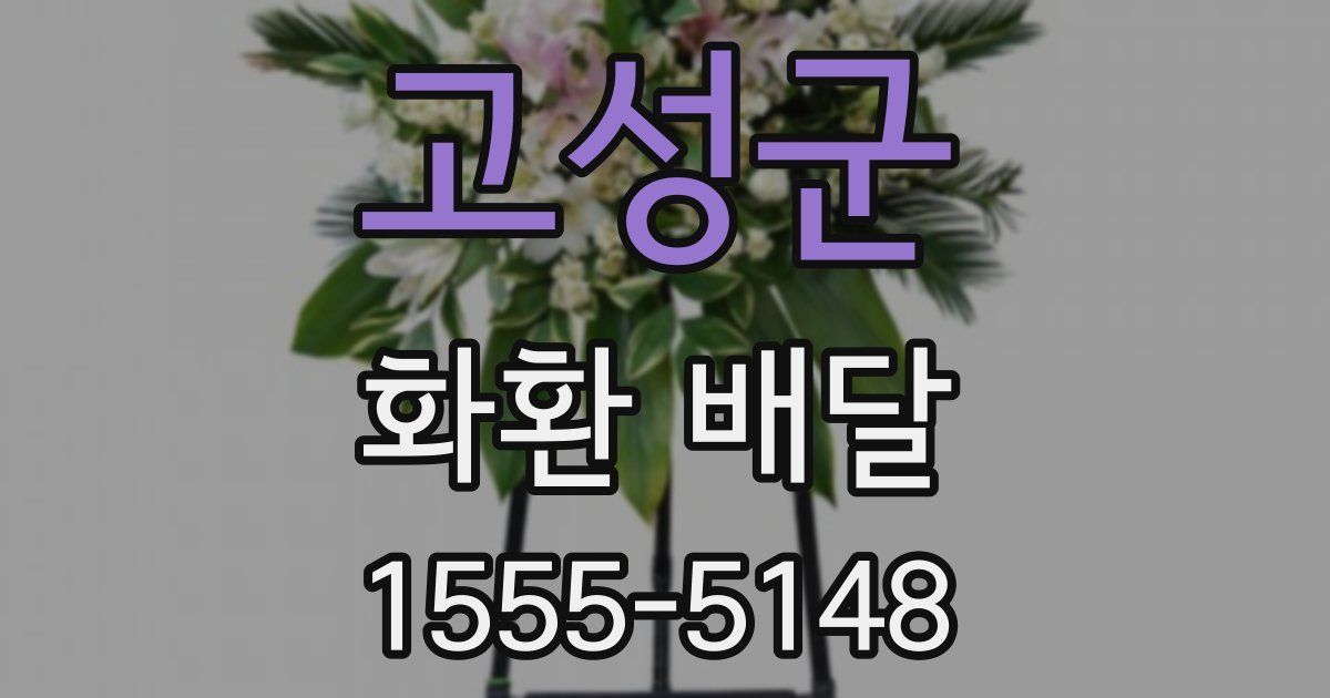 고성군 화환 배달