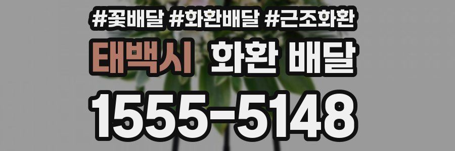 태백시 화환 배달