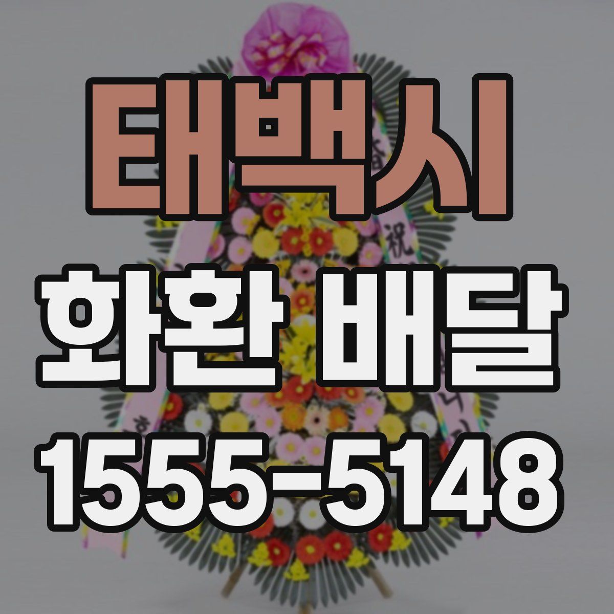 태백시 화환 배달