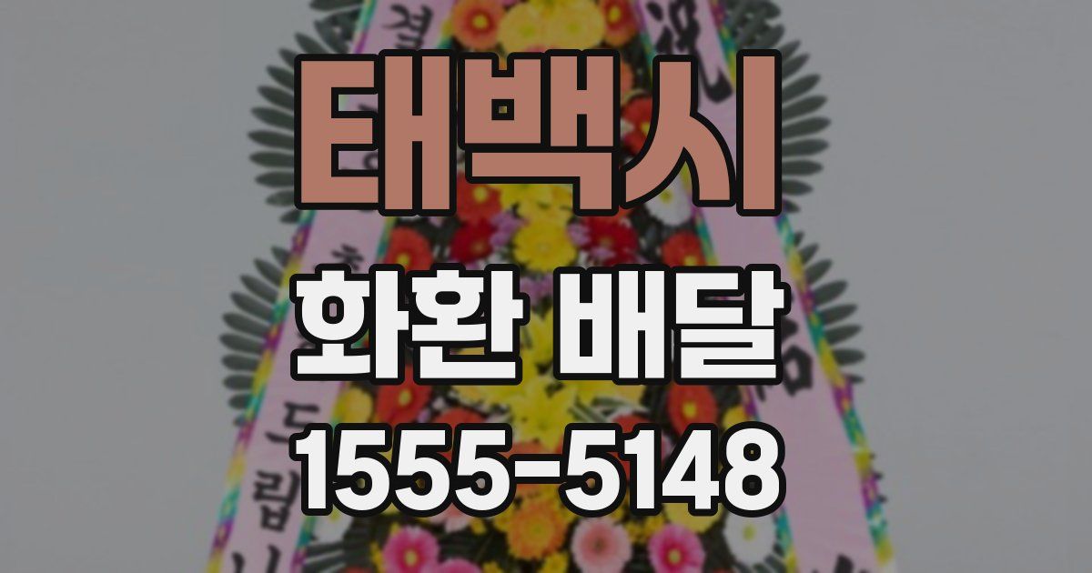 태백시 화환 배달