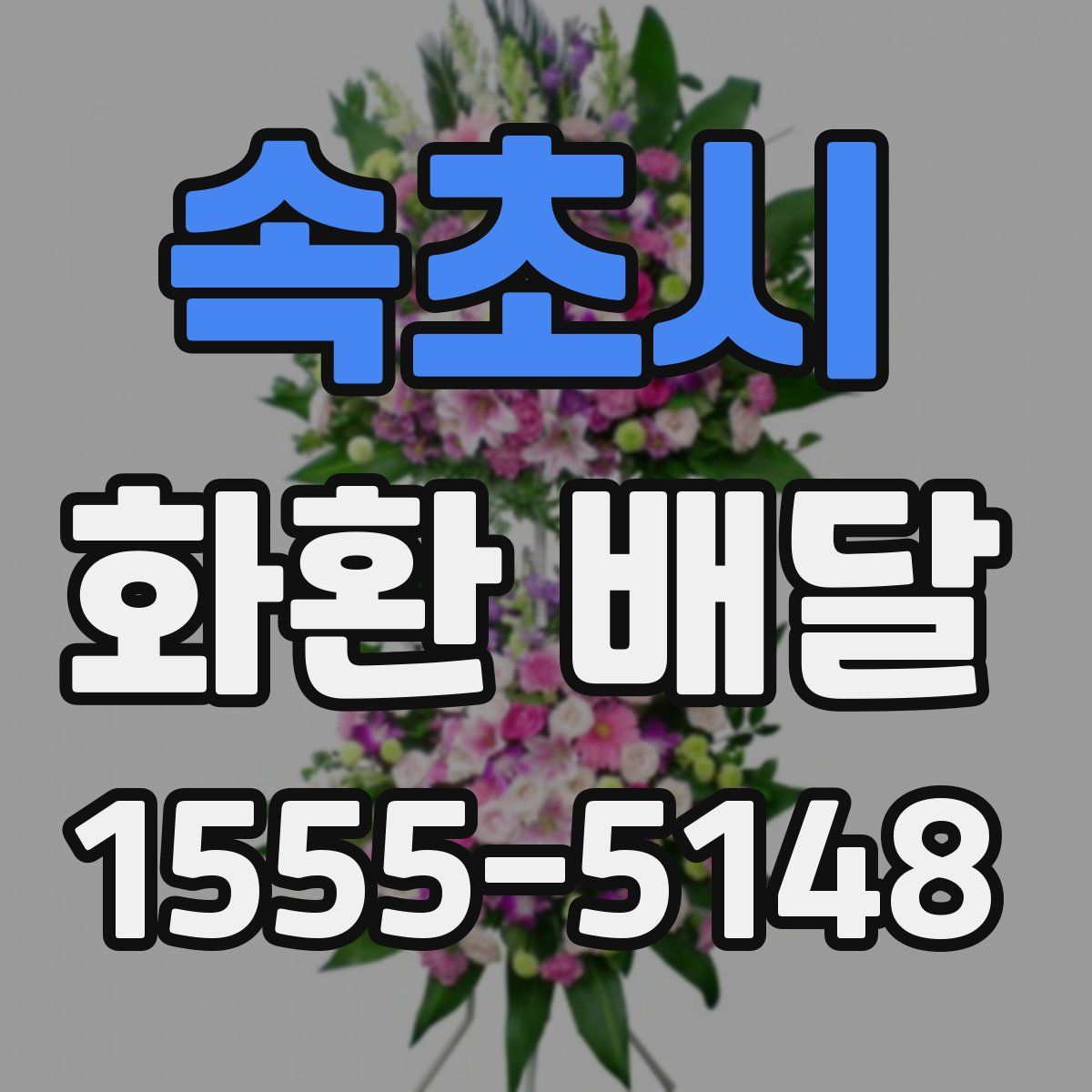 속초시 화환 배달
