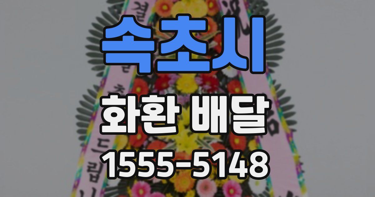 속초시 화환 배달