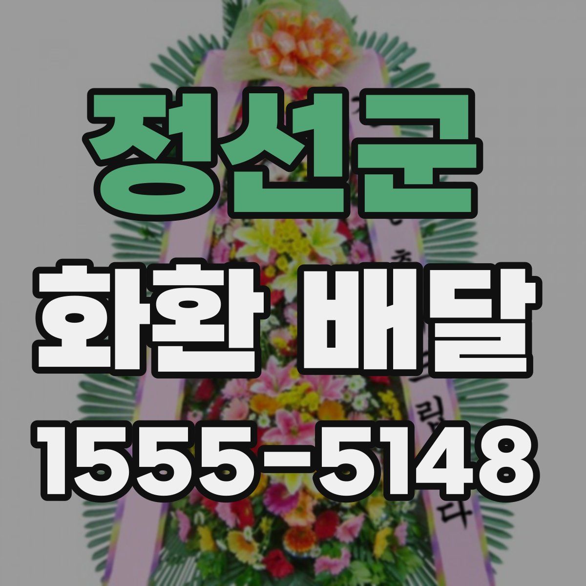 정선군 화환 배달