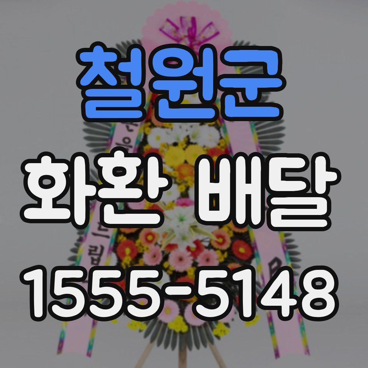 철원군 화환 배달