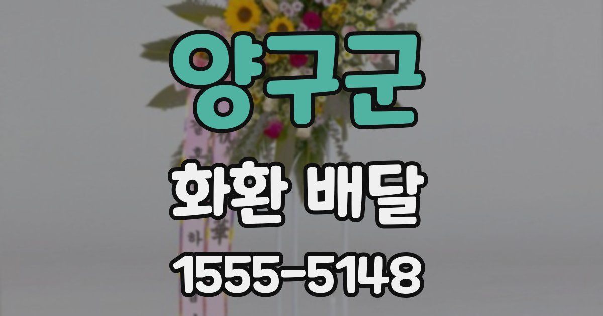 양구군 화환 배달