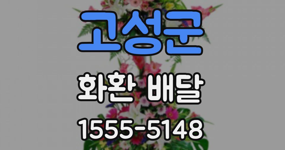 고성군 화환 배달