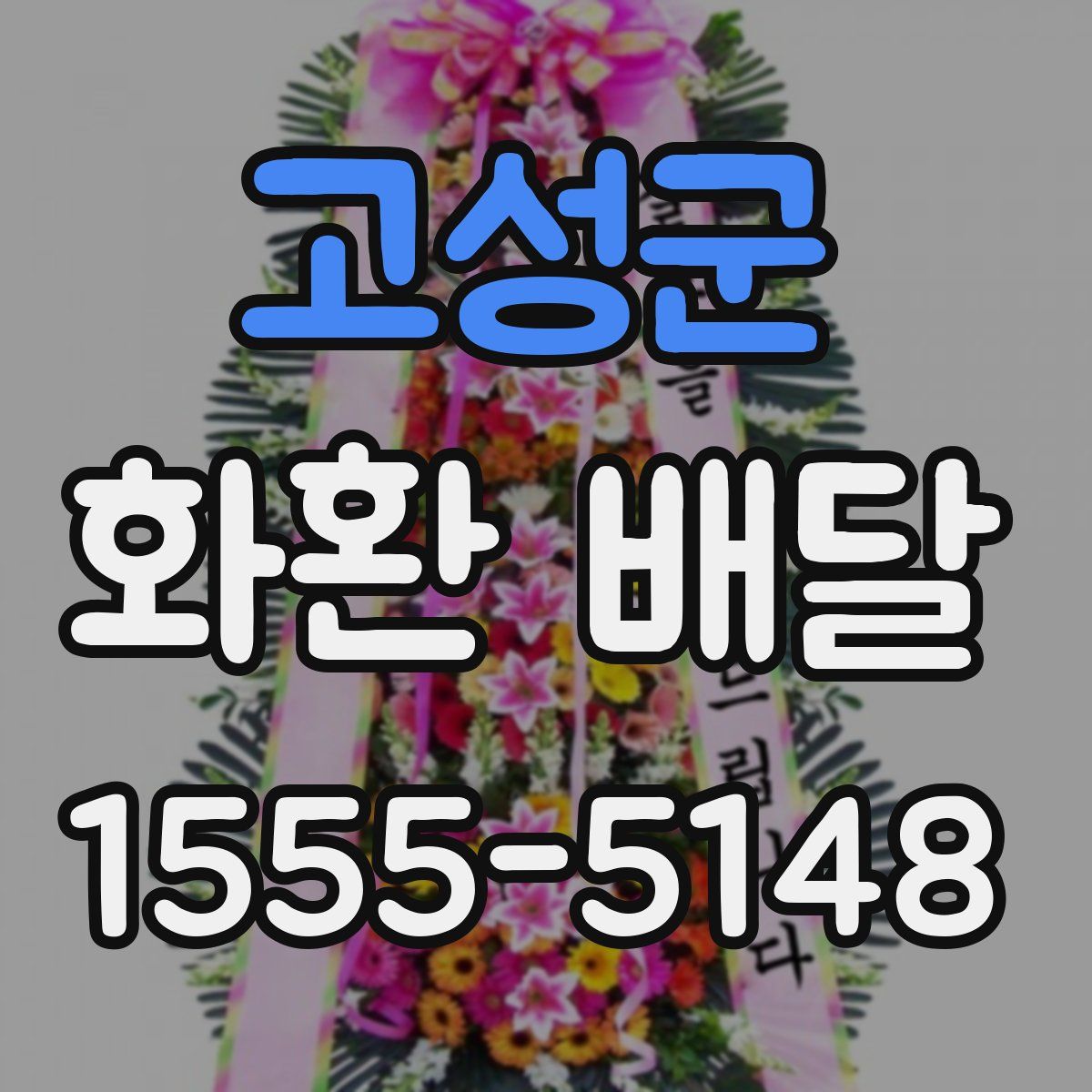 고성군 화환 배달
