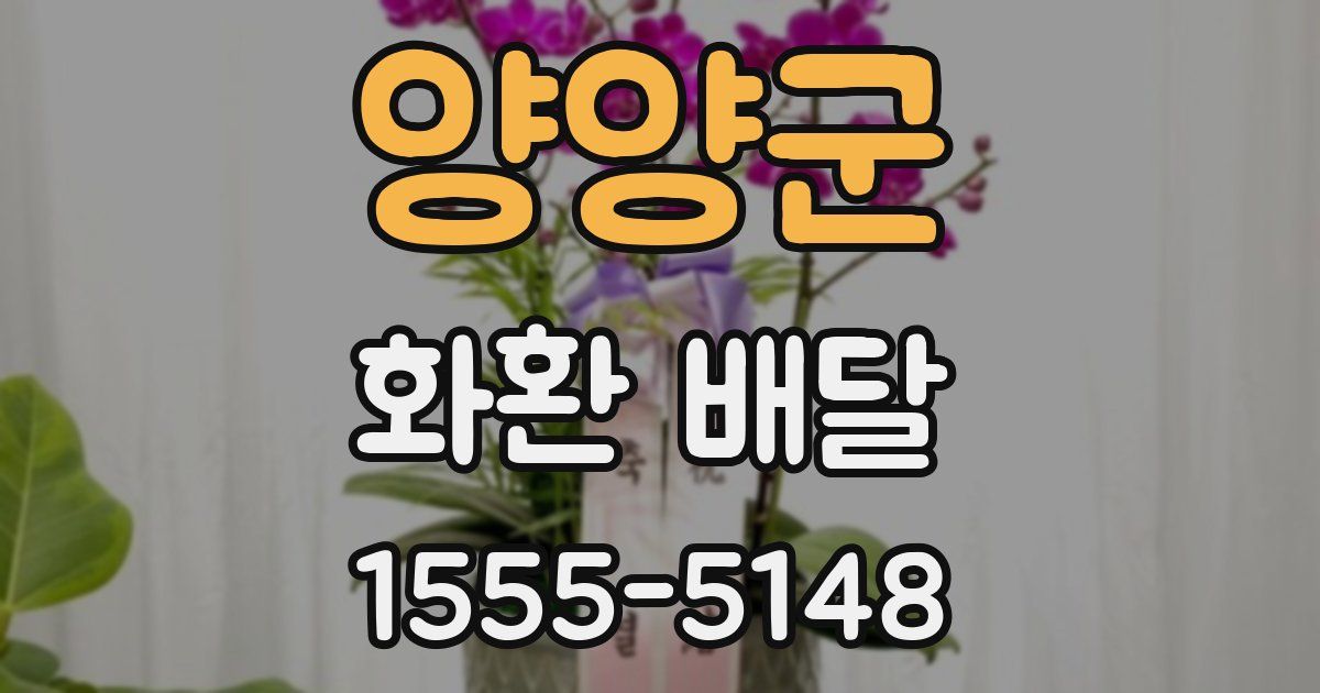 양양군 화환 배달