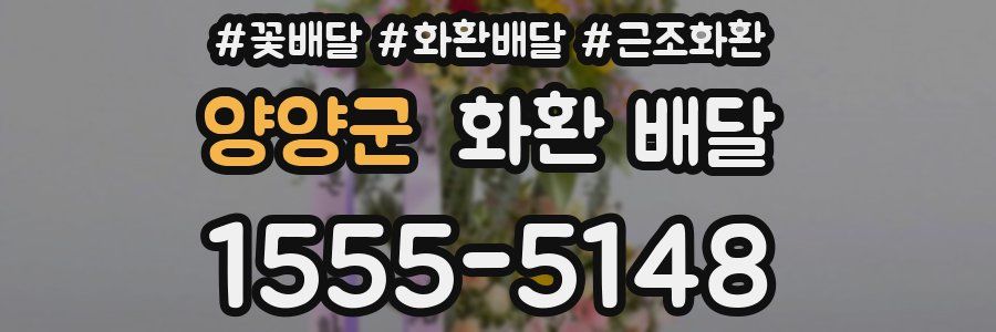 양양군 화환 배달
