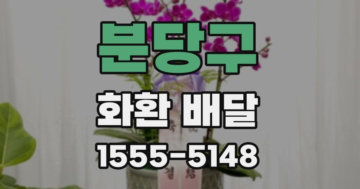 분당구 화환 배달