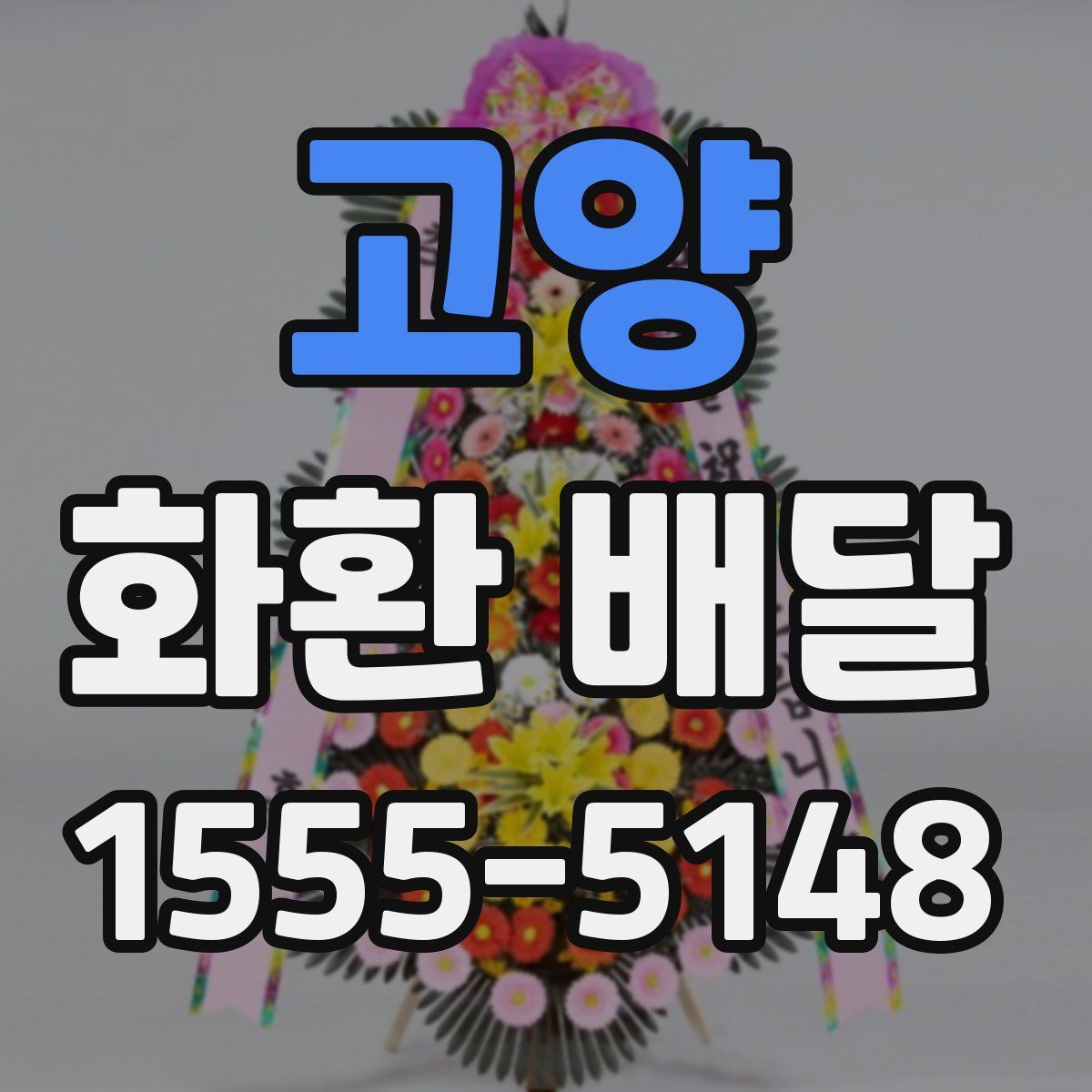 고양 화환 배달