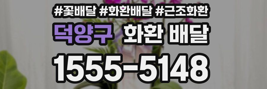 덕양구 화환 배달