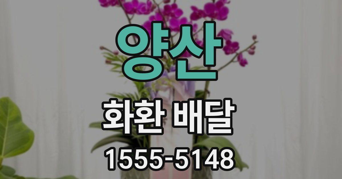 양산 화환 배달