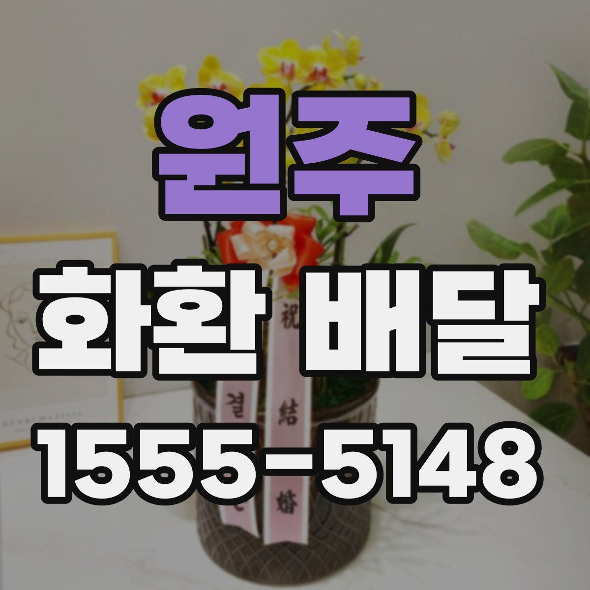 원주 화환 배달
