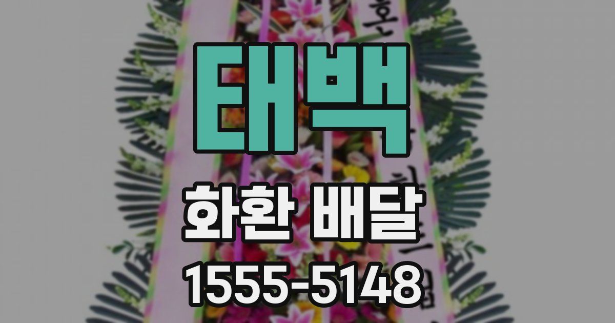 태백 화환 배달