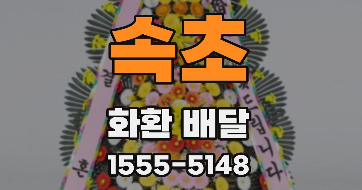 속초 화환 배달